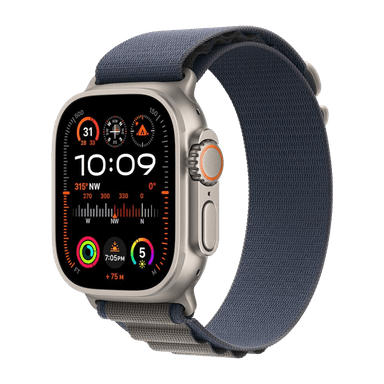 Description of the image